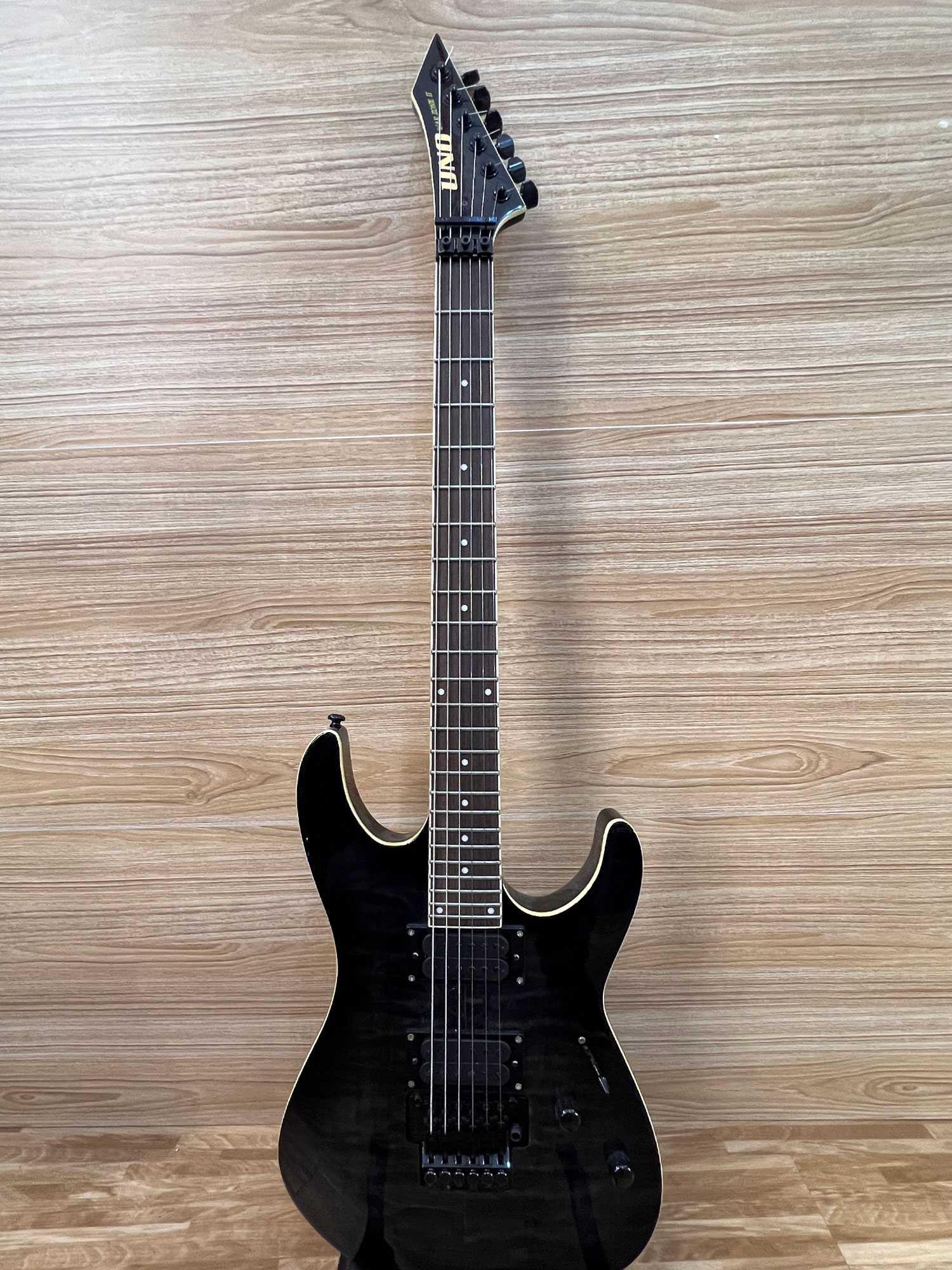 Electric Guitar